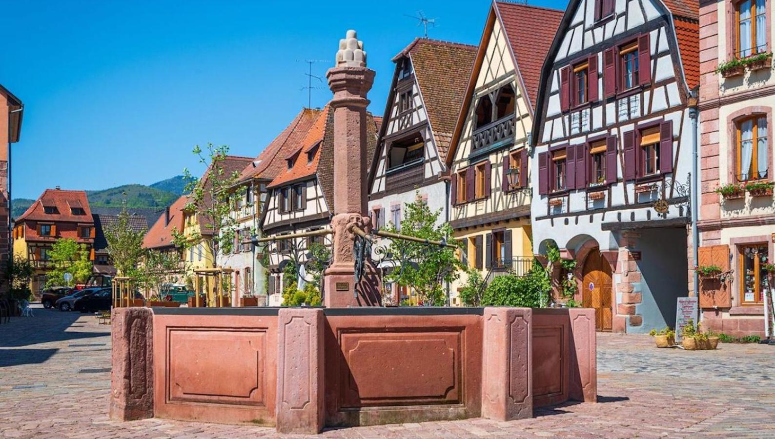 Appartements Duplex 3 Et 4 Personnes - Climatisation - Village Elu Parmi Les "Plus Beaux Villages De France" - Route Des Vins - Centre Alsace Bergheim Exteriör bild