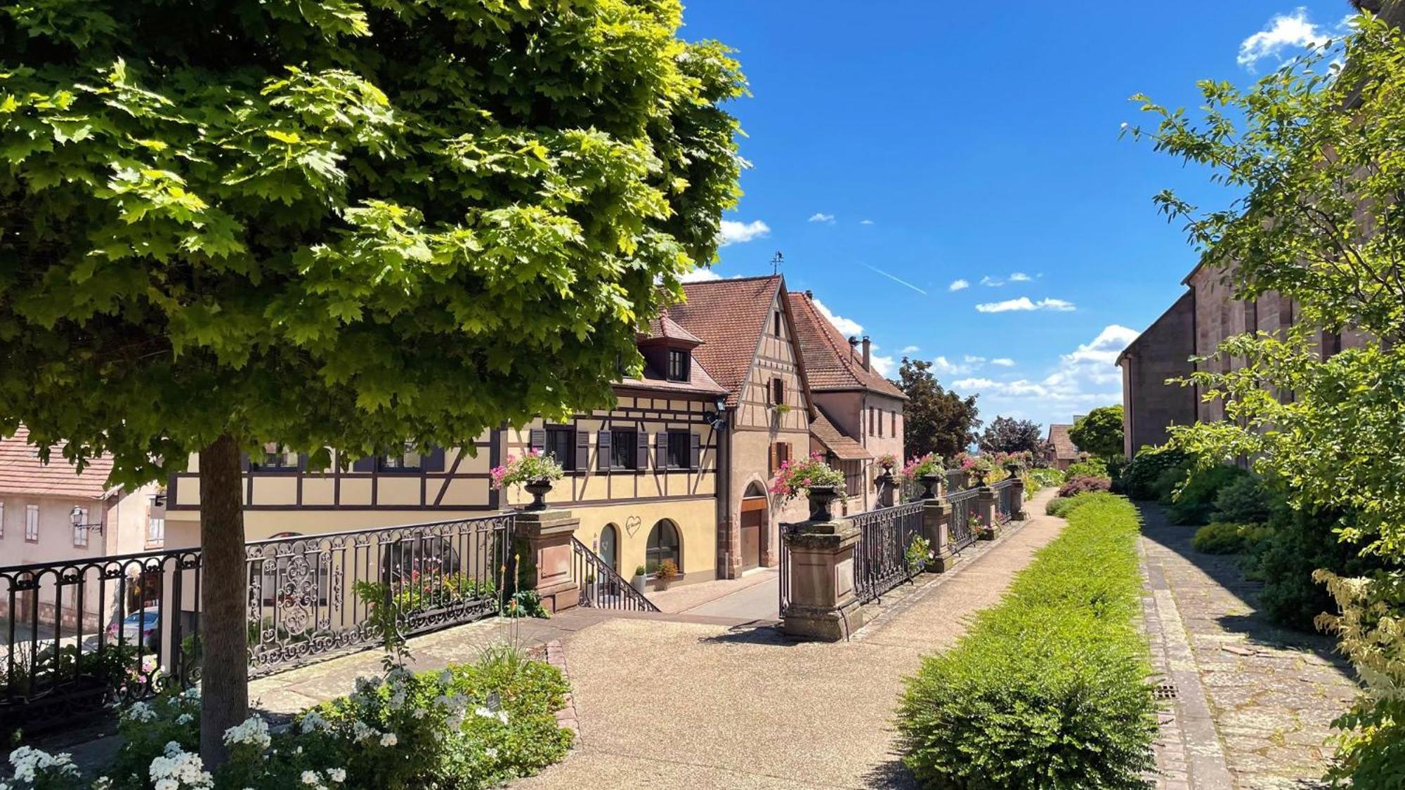 Appartements Duplex 3 Et 4 Personnes - Climatisation - Village Elu Parmi Les "Plus Beaux Villages De France" - Route Des Vins - Centre Alsace Bergheim Exteriör bild