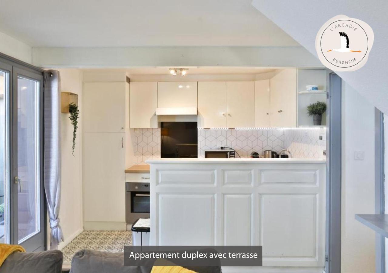 Appartements Duplex 3 Et 4 Personnes - Climatisation - Village Elu Parmi Les "Plus Beaux Villages De France" - Route Des Vins - Centre Alsace Bergheim Exteriör bild