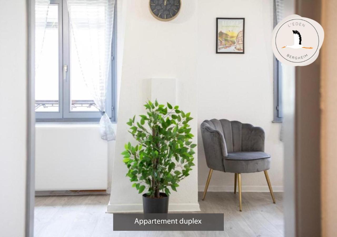 Appartements Duplex 3 Et 4 Personnes - Climatisation - Village Elu Parmi Les "Plus Beaux Villages De France" - Route Des Vins - Centre Alsace Bergheim Exteriör bild