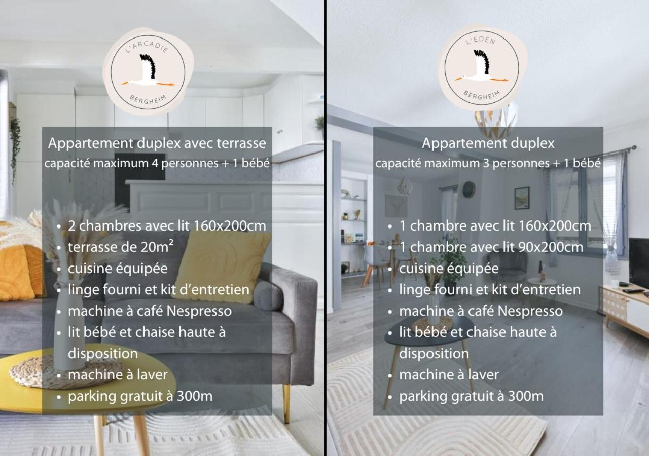 Appartements Duplex 3 Et 4 Personnes - Climatisation - Village Elu Parmi Les "Plus Beaux Villages De France" - Route Des Vins - Centre Alsace Bergheim Exteriör bild